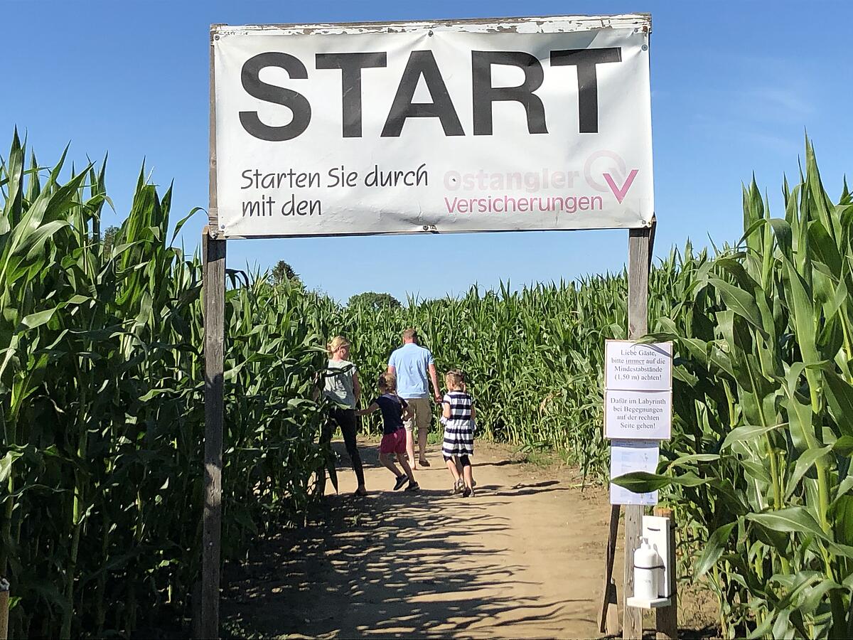 Eingang und Startpunkt des Maislabyrinths