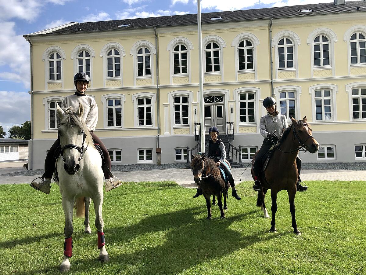 Größere Kinder reiten auf größeren Pferden.