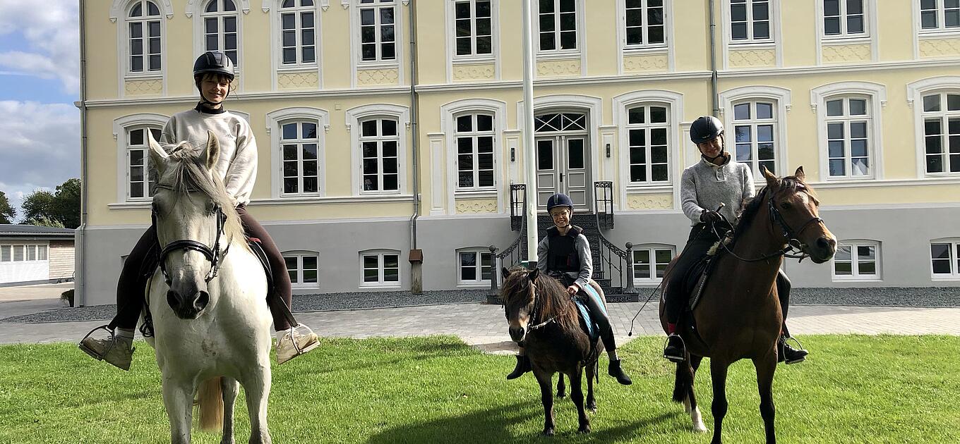 Größere Kinder reiten auf größeren Pferden.