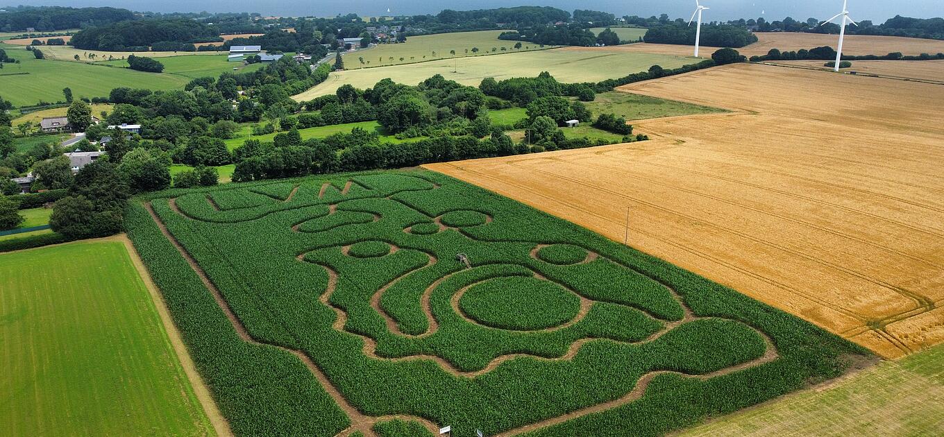 Luftbild des Maislabyrinths bei Gut Oestergaard