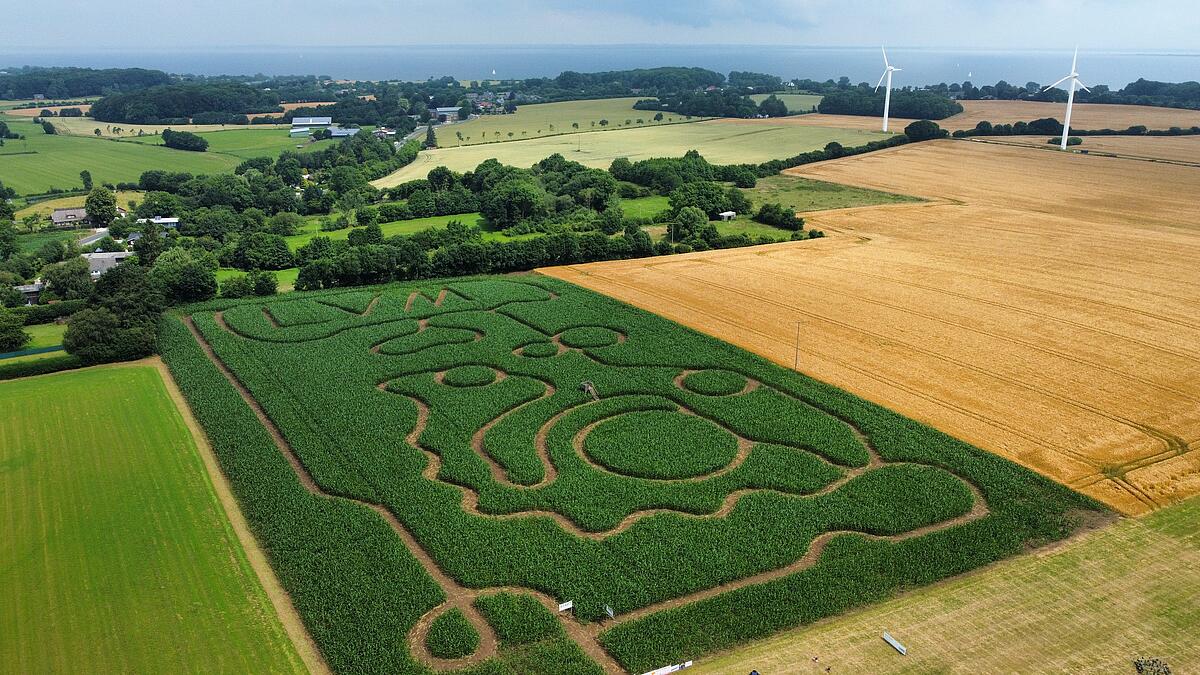 Luftbild des Maislabyrinths bei Gut Oestergaard