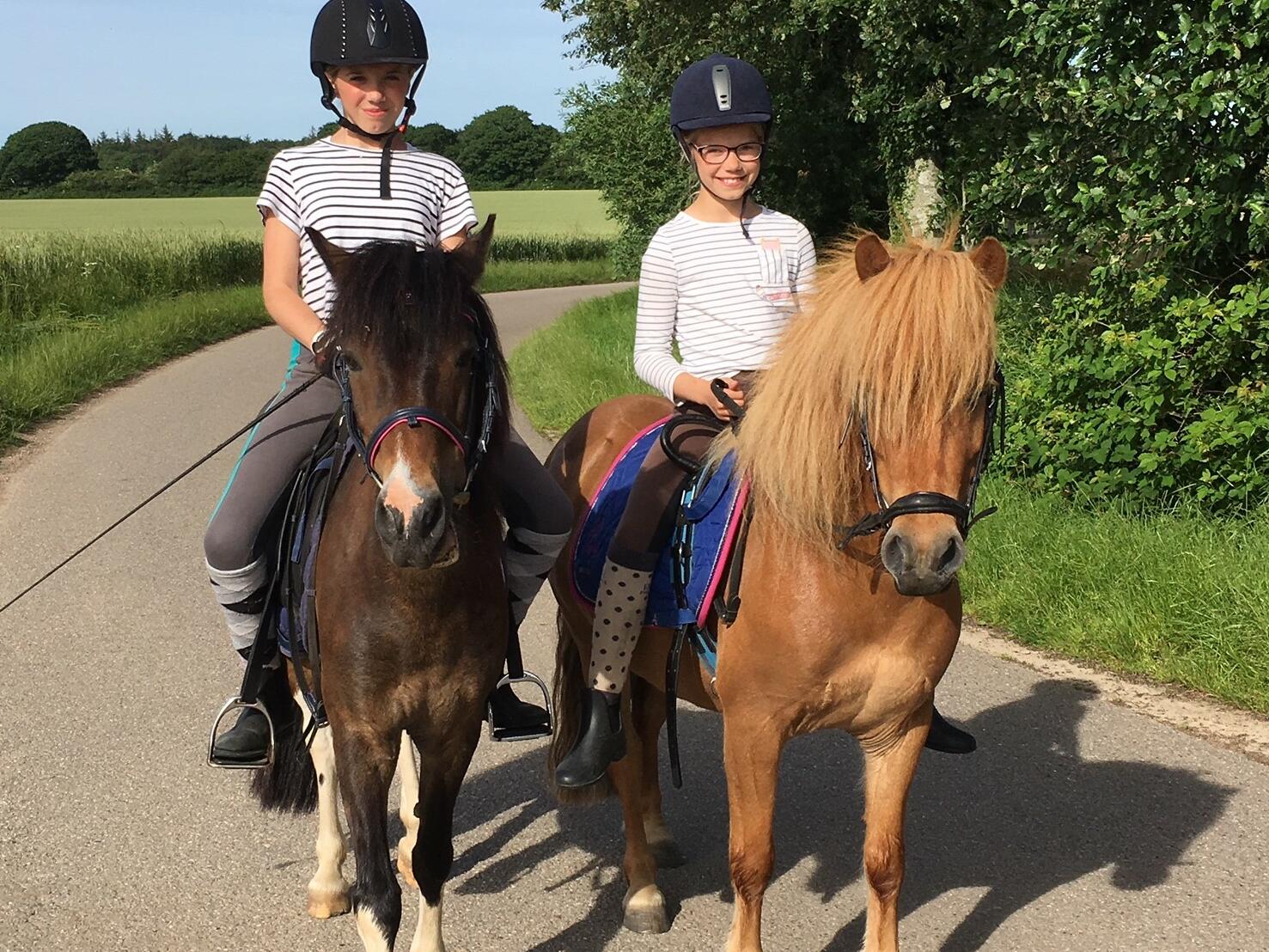 Beim Ferienreiten lernen Kinder viel über die Ponys und über sich selbst.