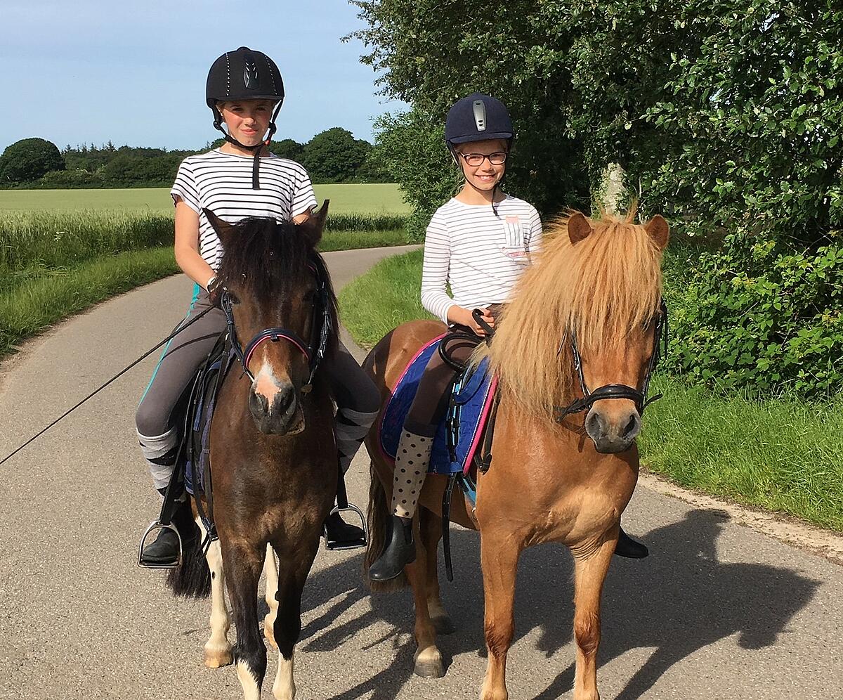 Beim Ferienreiten lernen Kinder viel über die Ponys und über sich selbst.