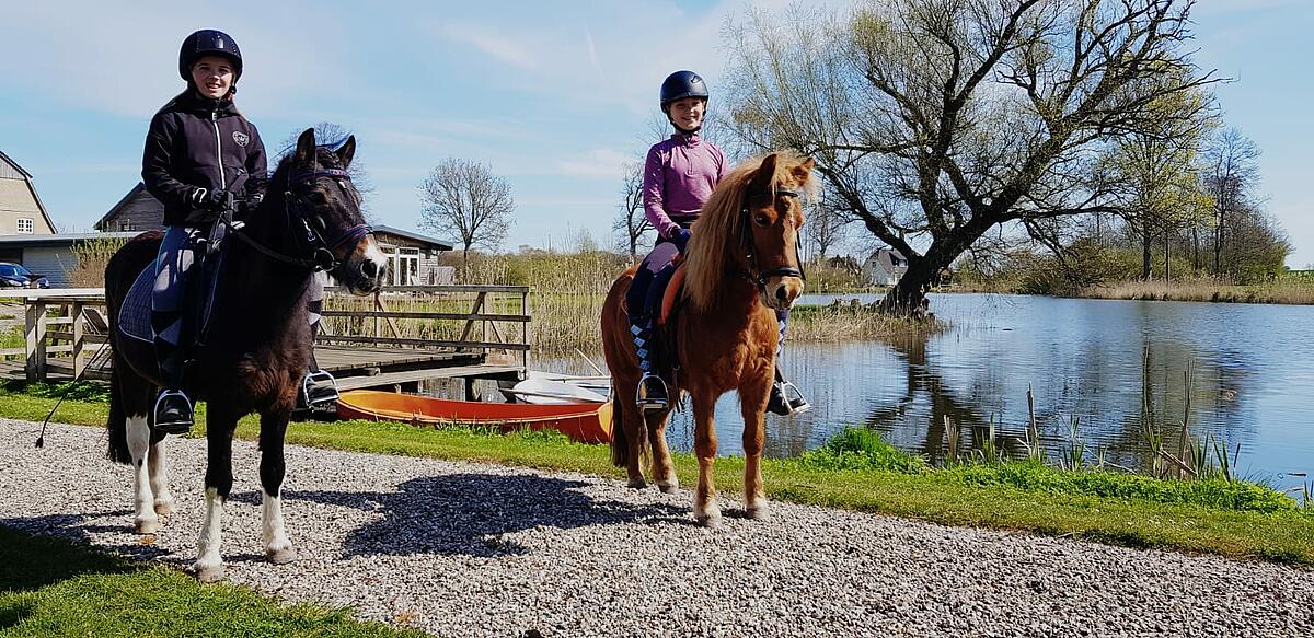 Zwei Ponys beim Ausritt vor dem Mühlenteich.