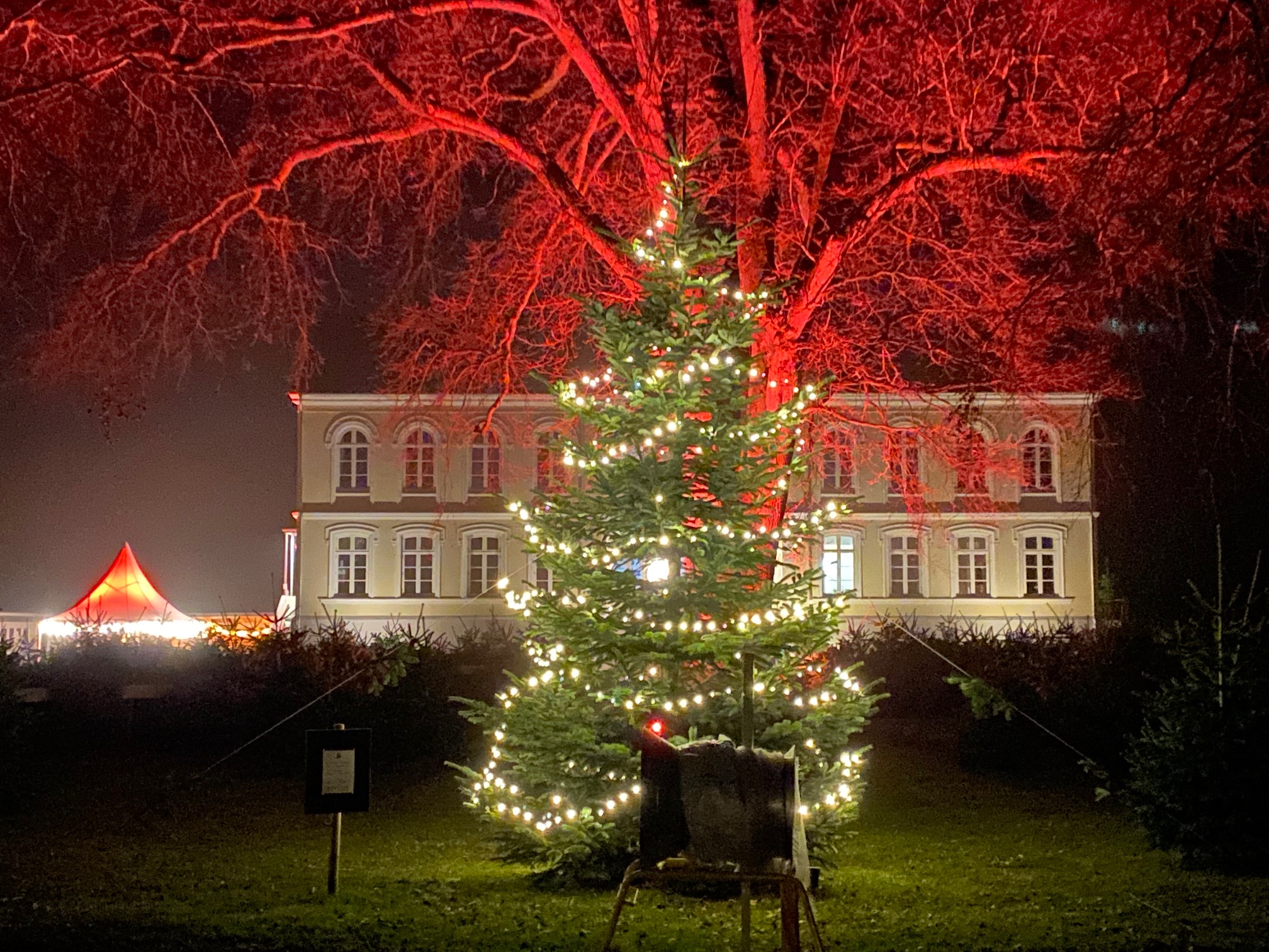 Große beleuchtete Tanne vor dem Herrenhaus 