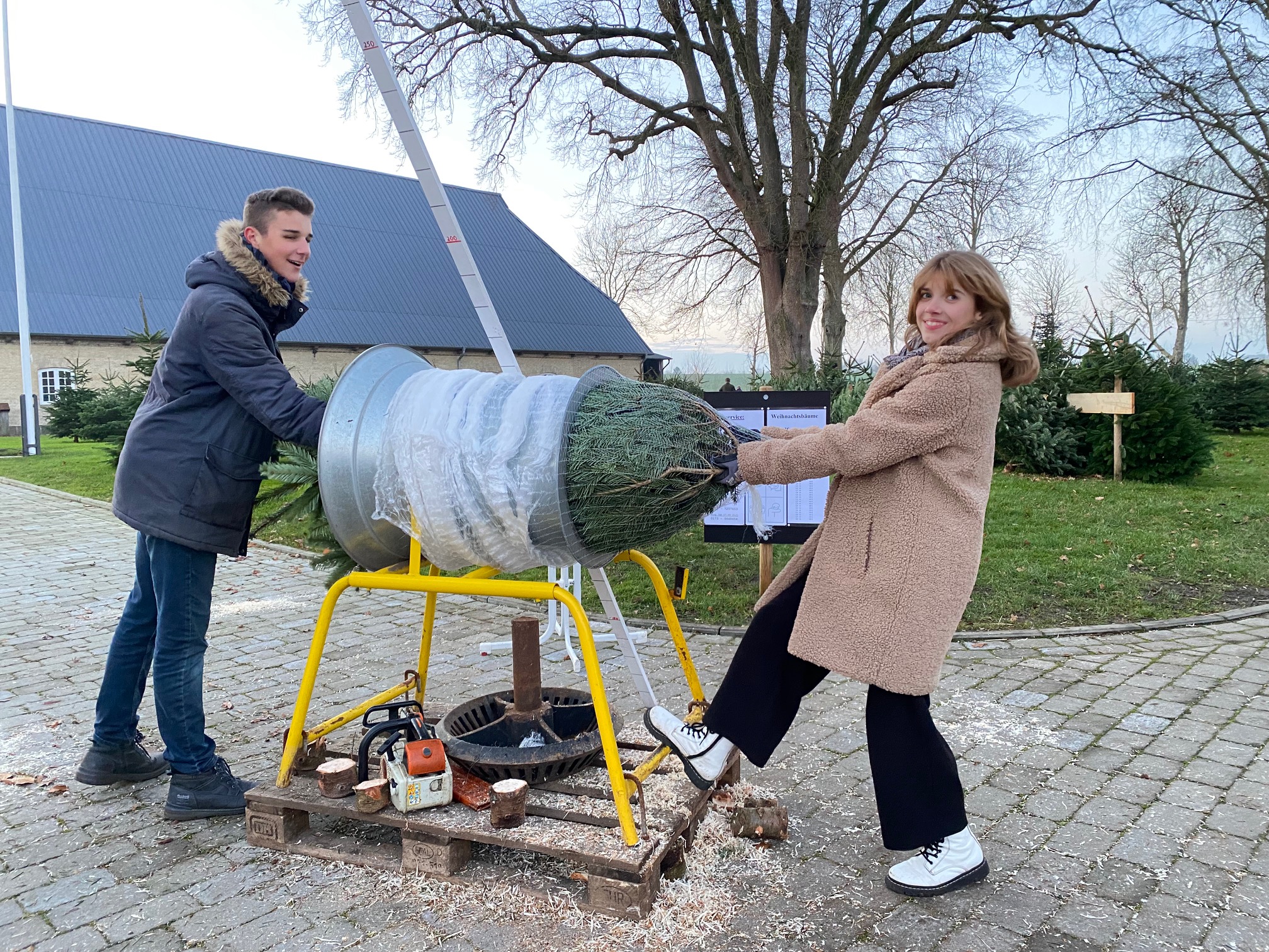 Weihnachtsbäume beim Einnetzen 