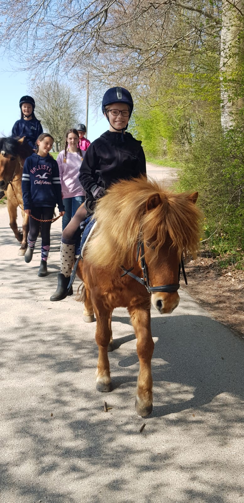 Kinder lernen spielend den Umgang mit den Ponys.